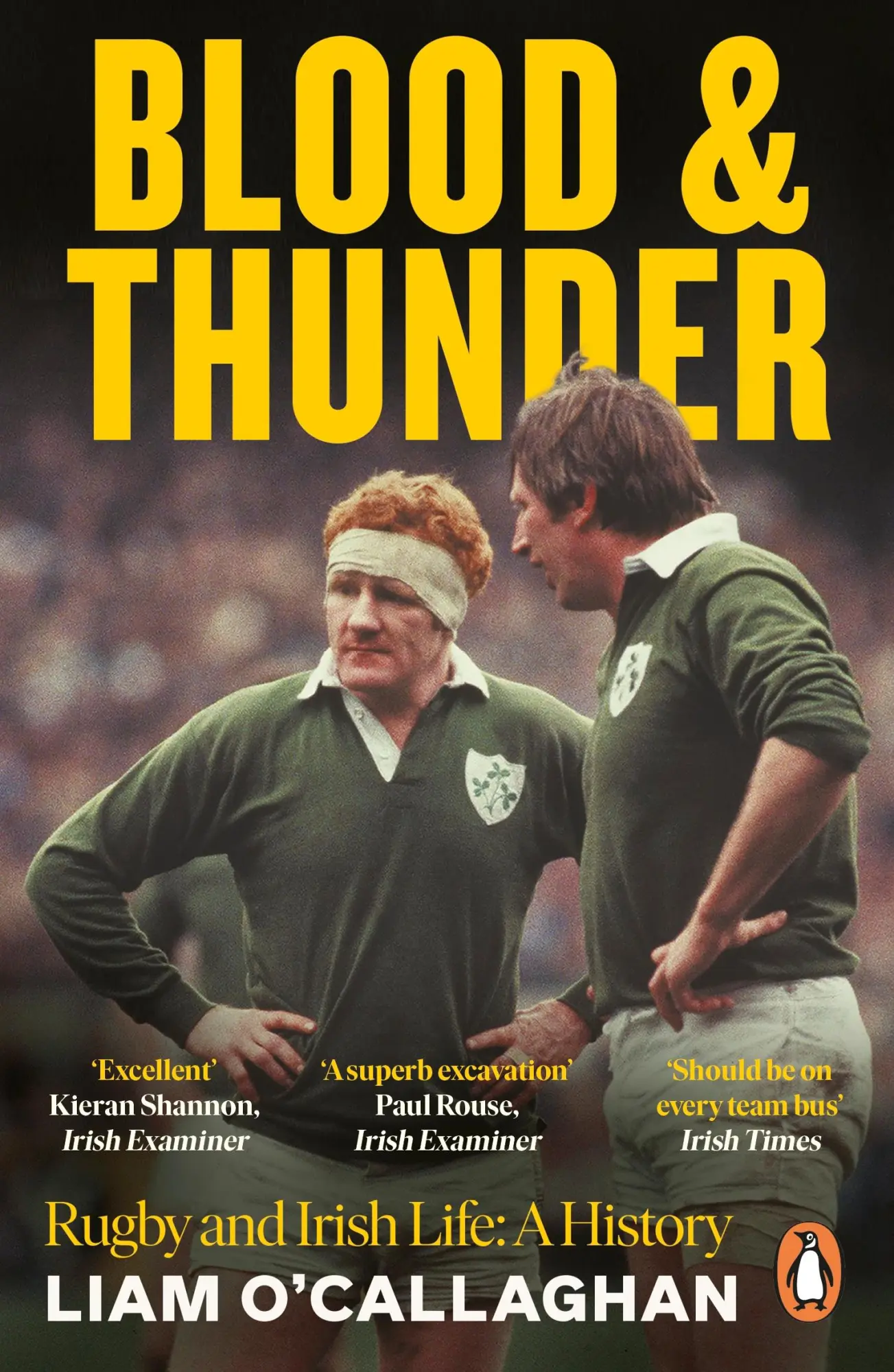Cover: 9780241999769 | Blood And Thunder | Rugby and Irish Life: A History | Liam O'Callaghan
