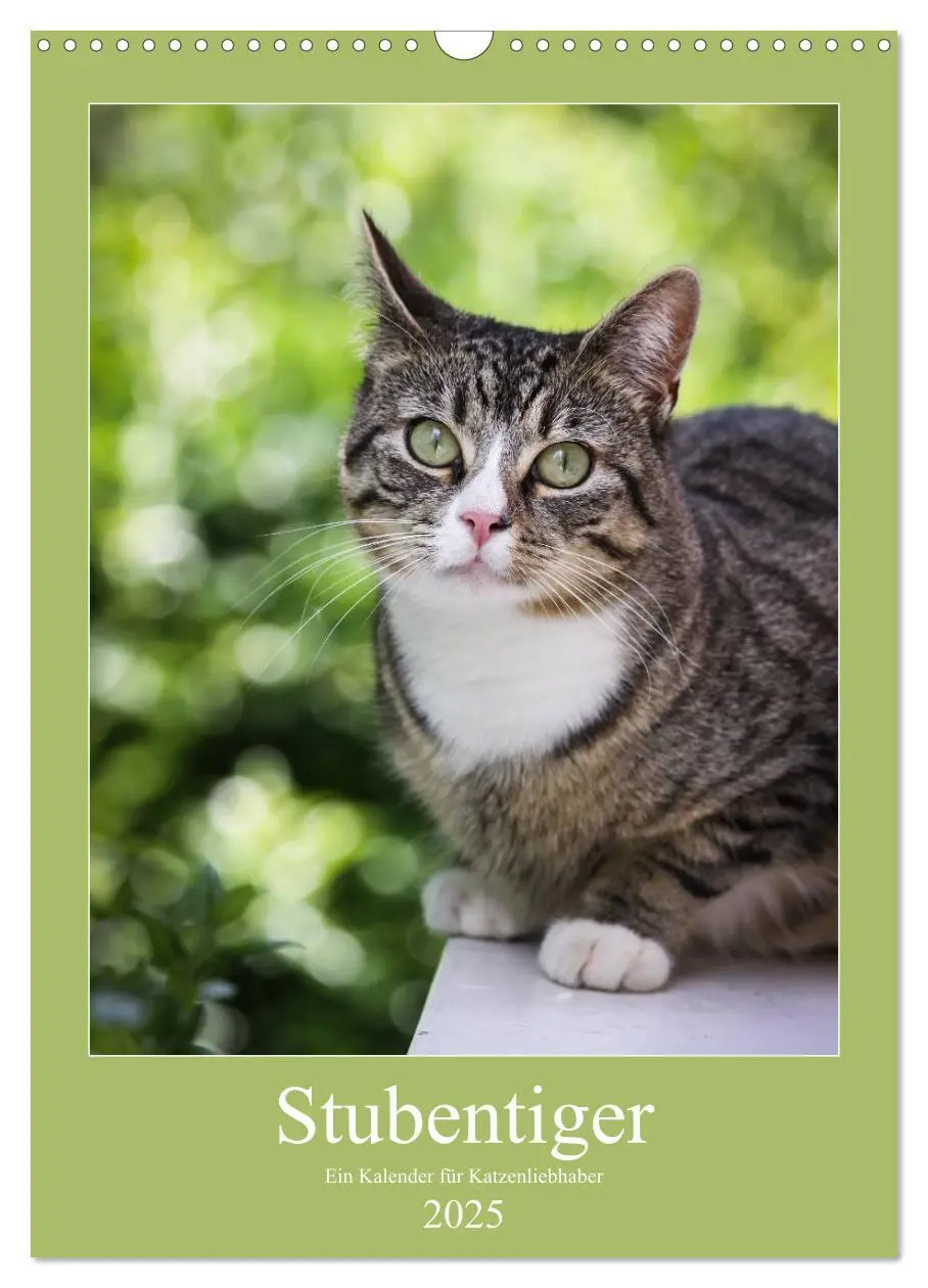 Cover: 9783457069769 | Stubentiger (Wandkalender 2025 DIN A3 hoch), CALVENDO Monatskalender