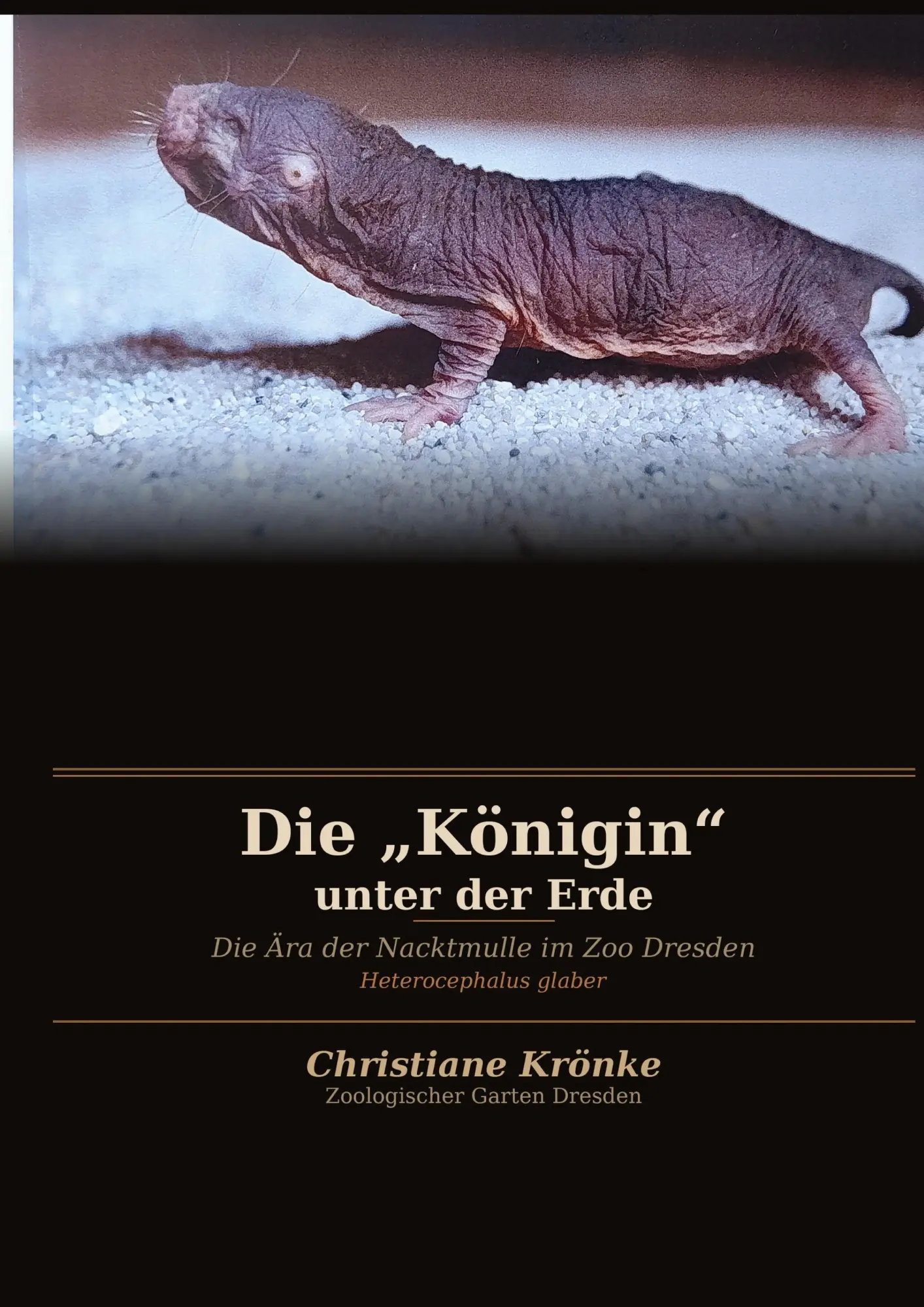 Cover: 9783695119769 | Die "Königin" unter der Erde | Die Ära der Nacktmulle im Zoo Dresden