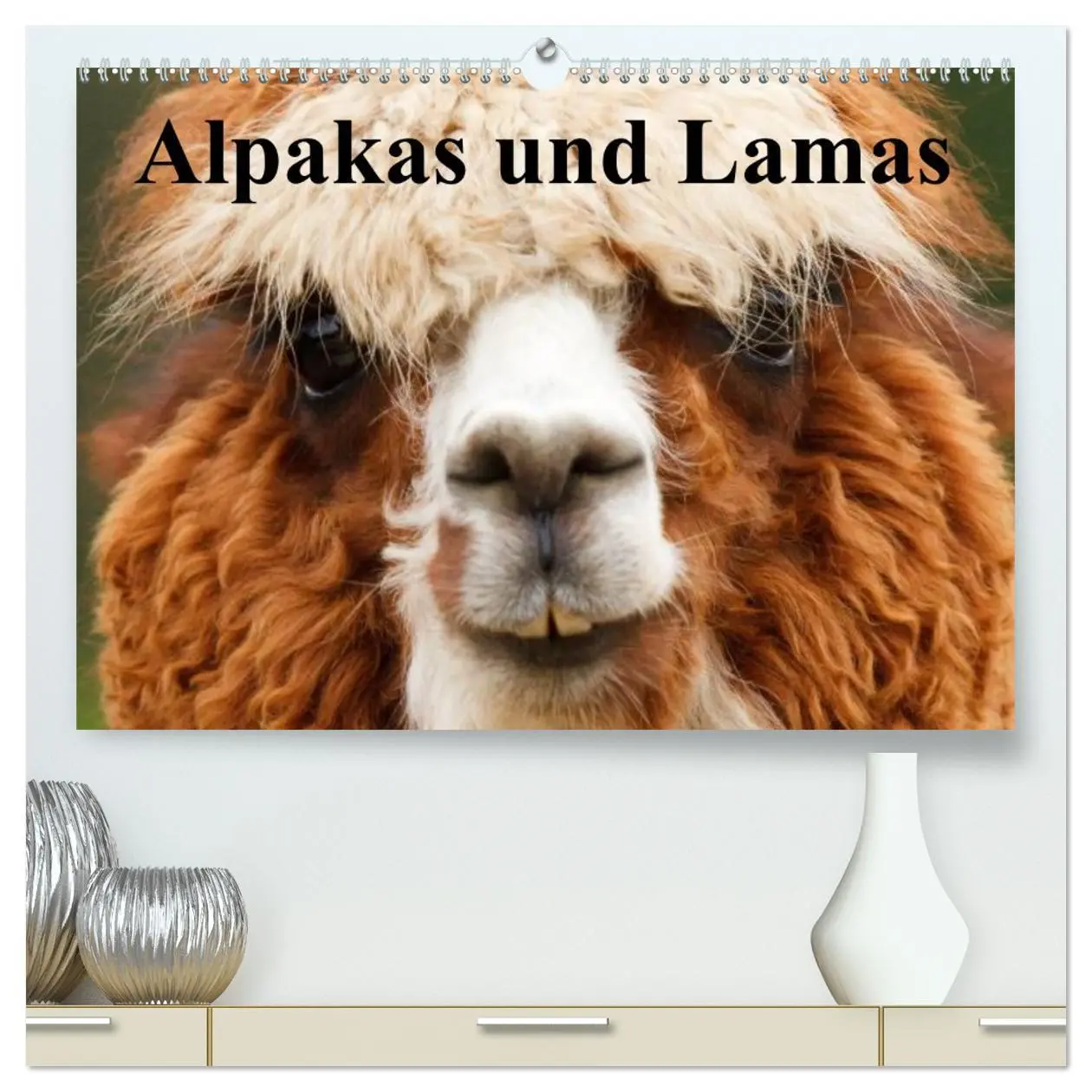 Cover: 9783516219869 | Alpakas und Lamas (hochwertiger Premium Wandkalender 2026 DIN A2...