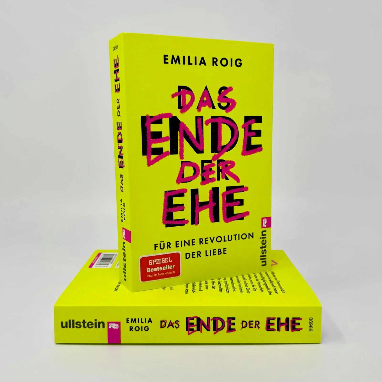 Bild: 9783548069869 | Das Ende der Ehe | Emilia Roig | Taschenbuch | 384 S. | Deutsch | 2024