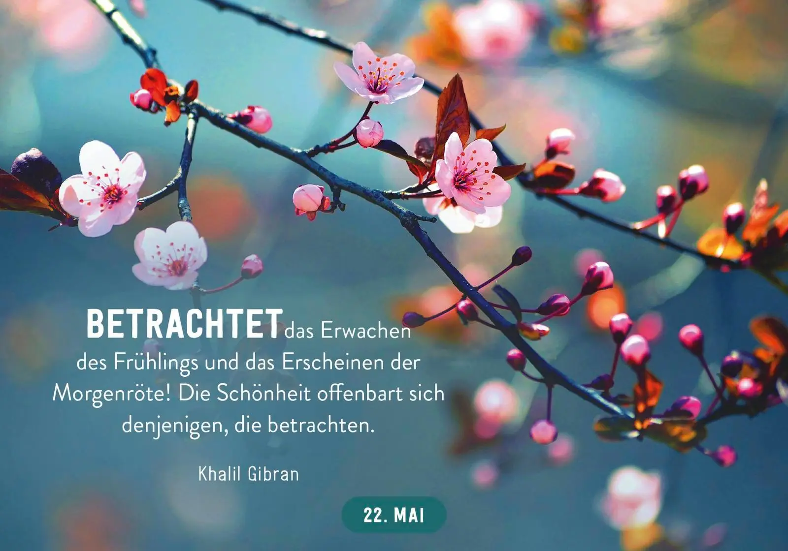 Bild: 9783629009869 | 365 gute Wünsche | Pattloch Verlag | Taschenbuch | 384 S. | Deutsch