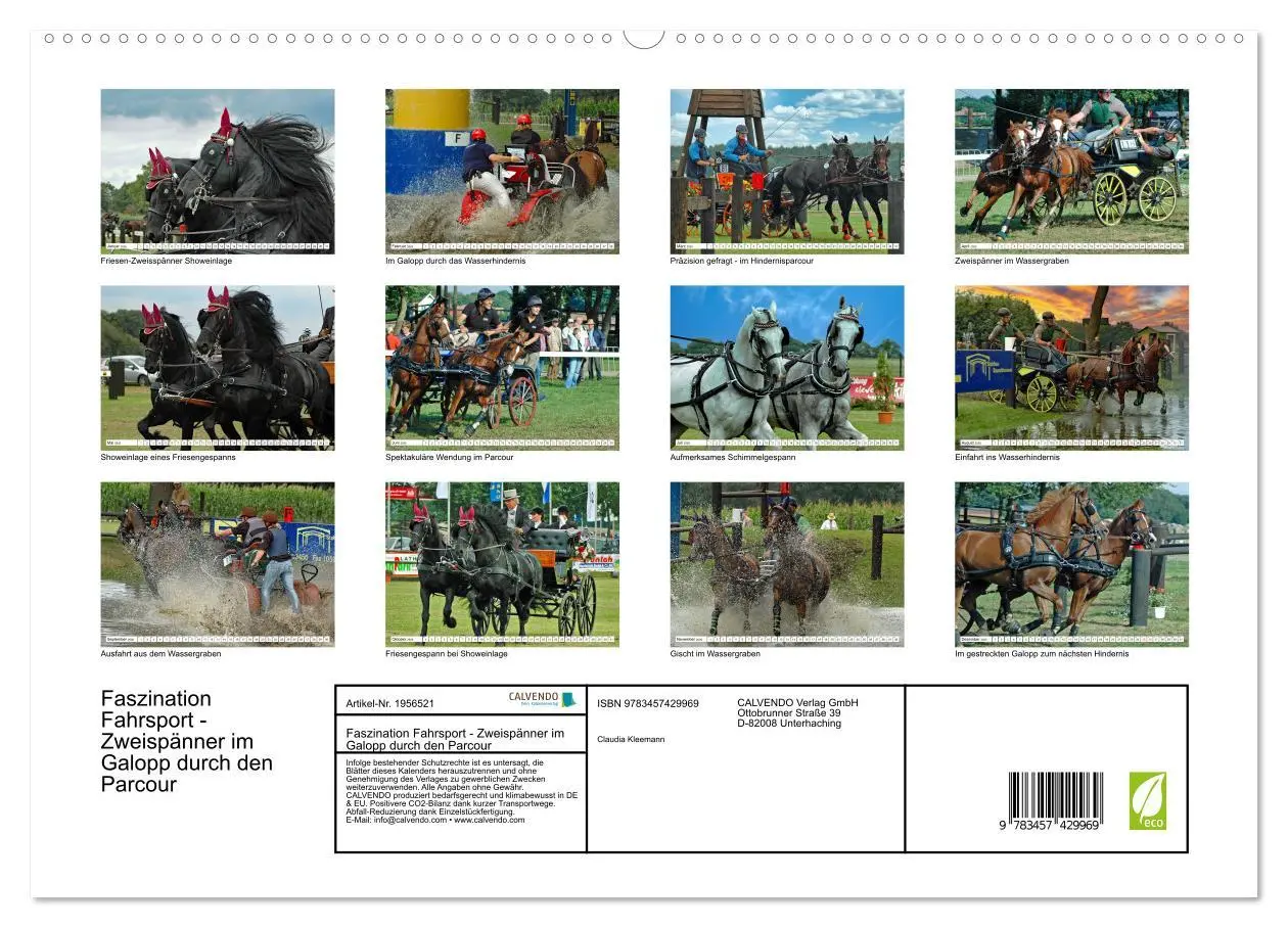 Bild: 9783457429969 | Faszination Fahrsport - Zweispänner im Galopp durch den Parcour...