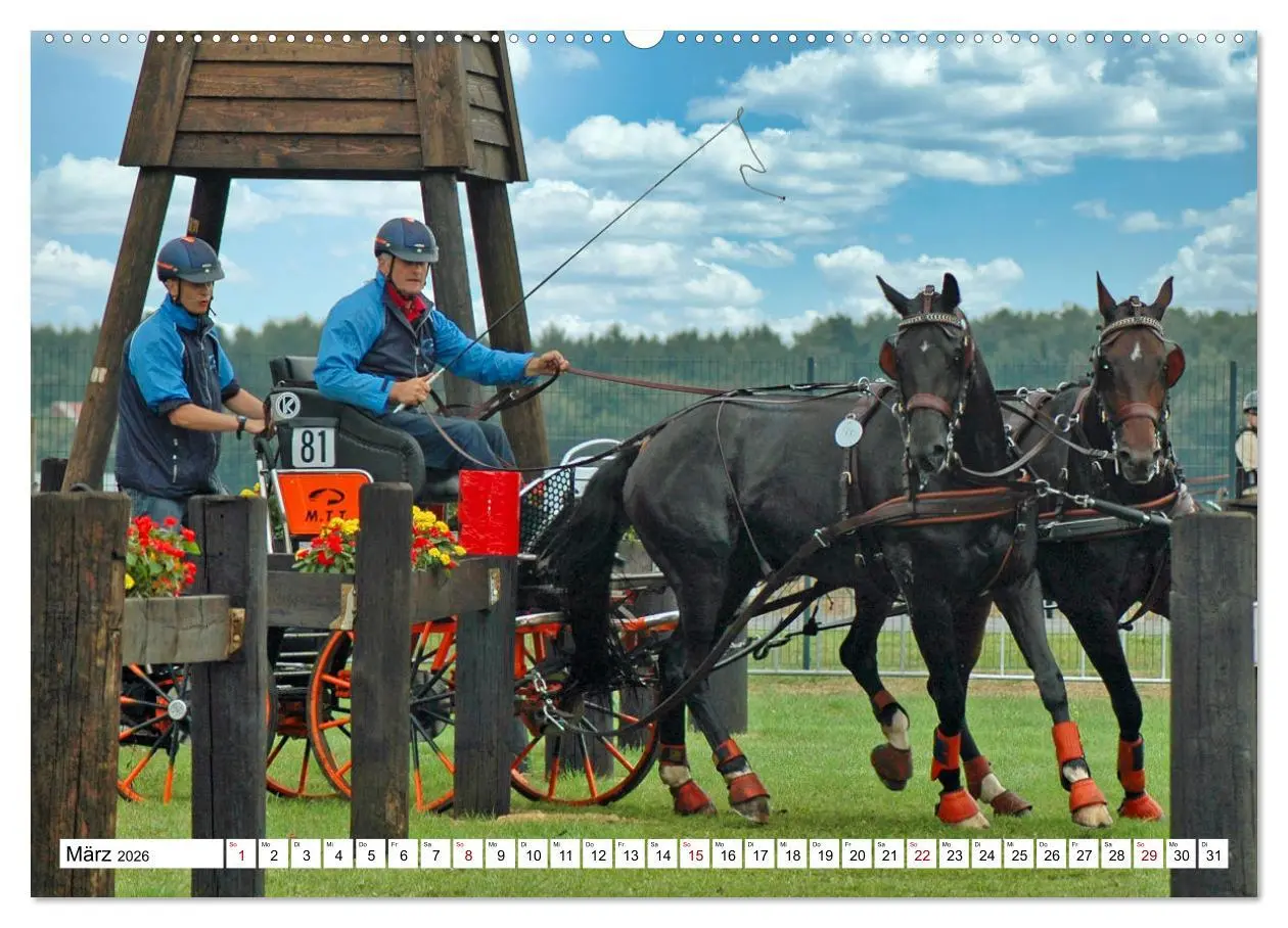 Bild: 9783457429969 | Faszination Fahrsport - Zweispänner im Galopp durch den Parcour...