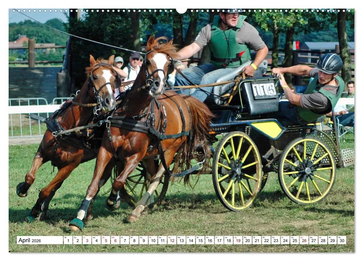 Bild: 9783457429969 | Faszination Fahrsport - Zweispänner im Galopp durch den Parcour...