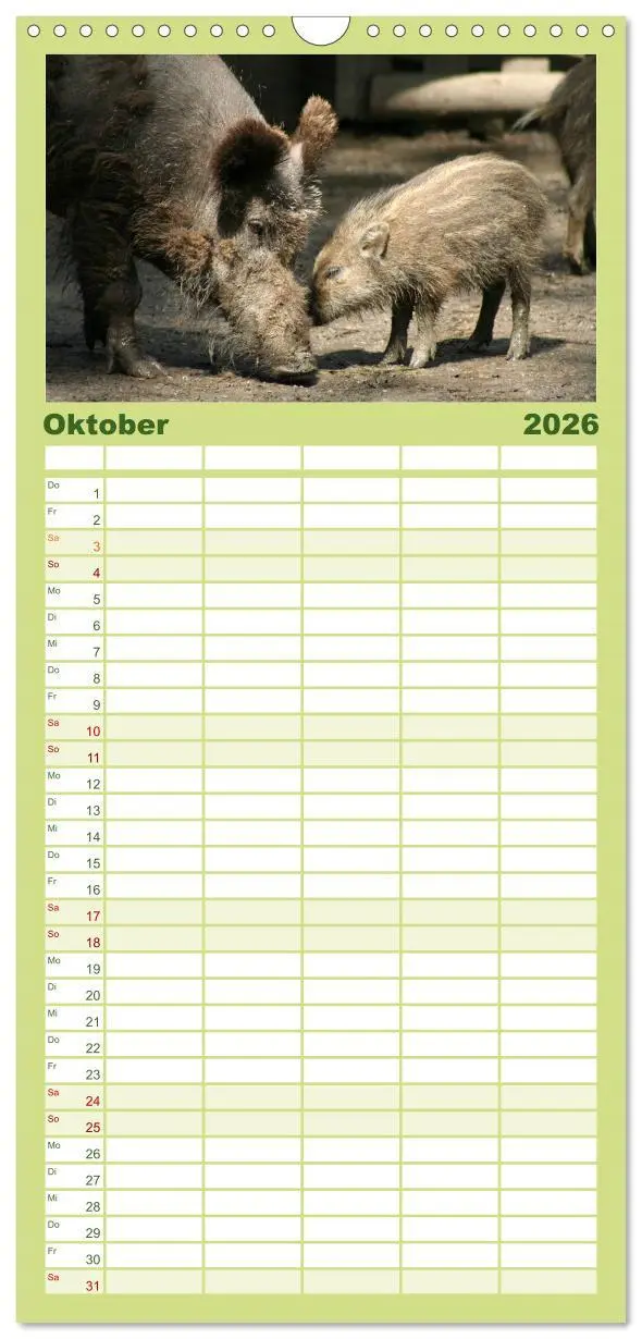 Bild: 9783516519969 | Familienplaner 2026 - Schweinkram - Die Wildschweine sind los mit 5...