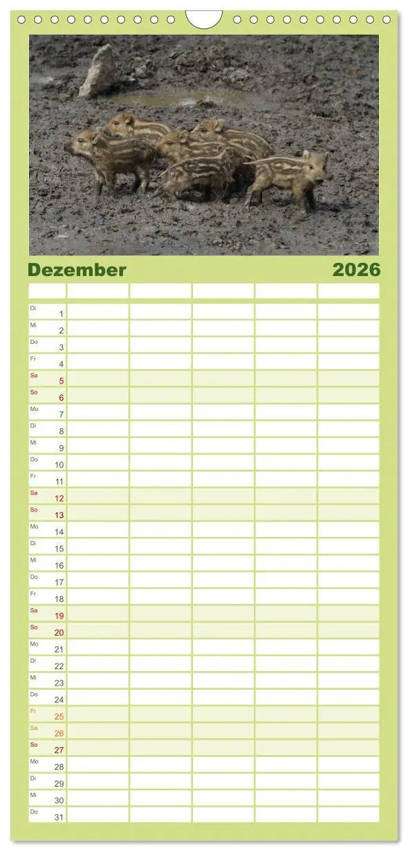 Bild: 9783516519969 | Familienplaner 2026 - Schweinkram - Die Wildschweine sind los mit 5...