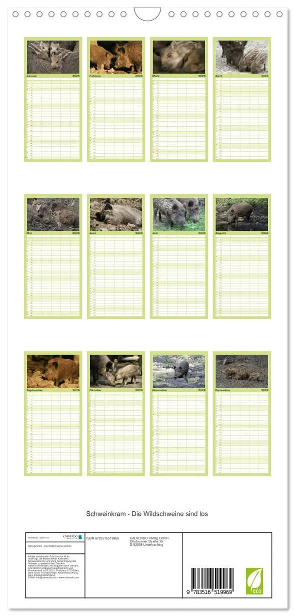 Bild: 9783516519969 | Familienplaner 2026 - Schweinkram - Die Wildschweine sind los mit 5...