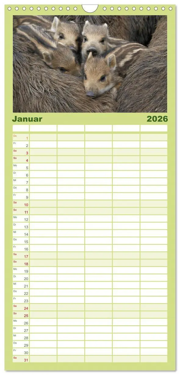 Bild: 9783516519969 | Familienplaner 2026 - Schweinkram - Die Wildschweine sind los mit 5...