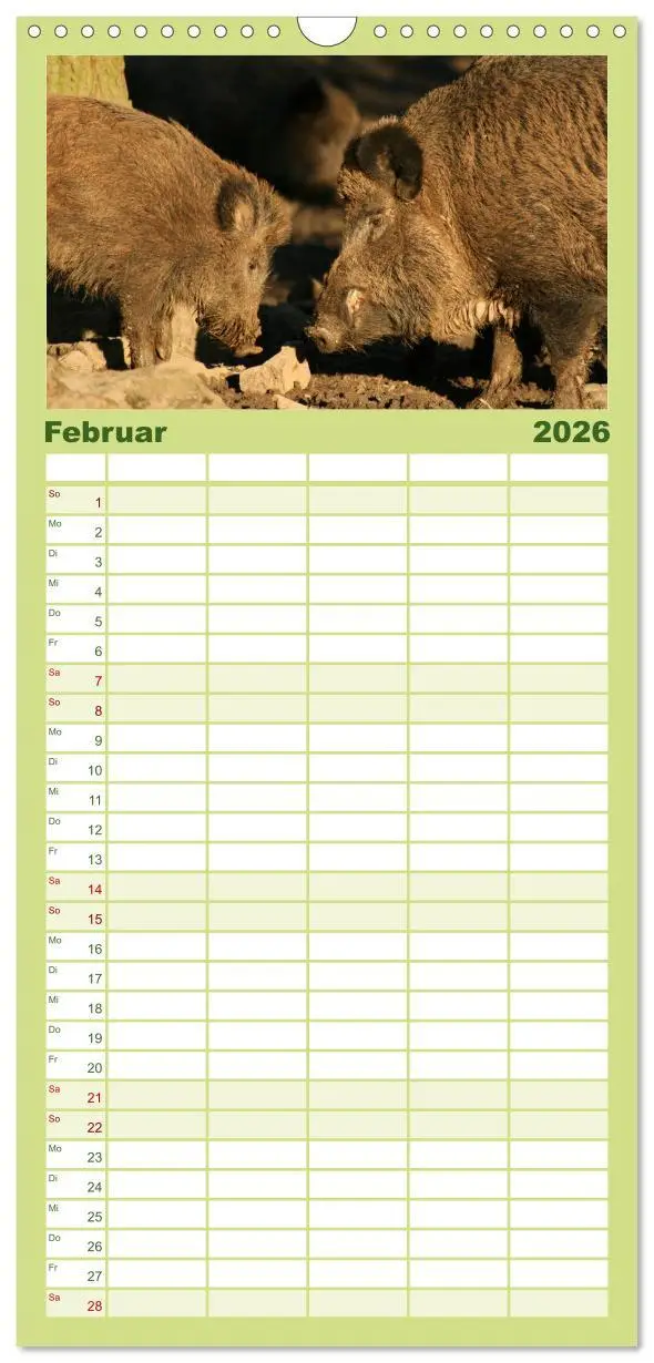 Bild: 9783516519969 | Familienplaner 2026 - Schweinkram - Die Wildschweine sind los mit 5...