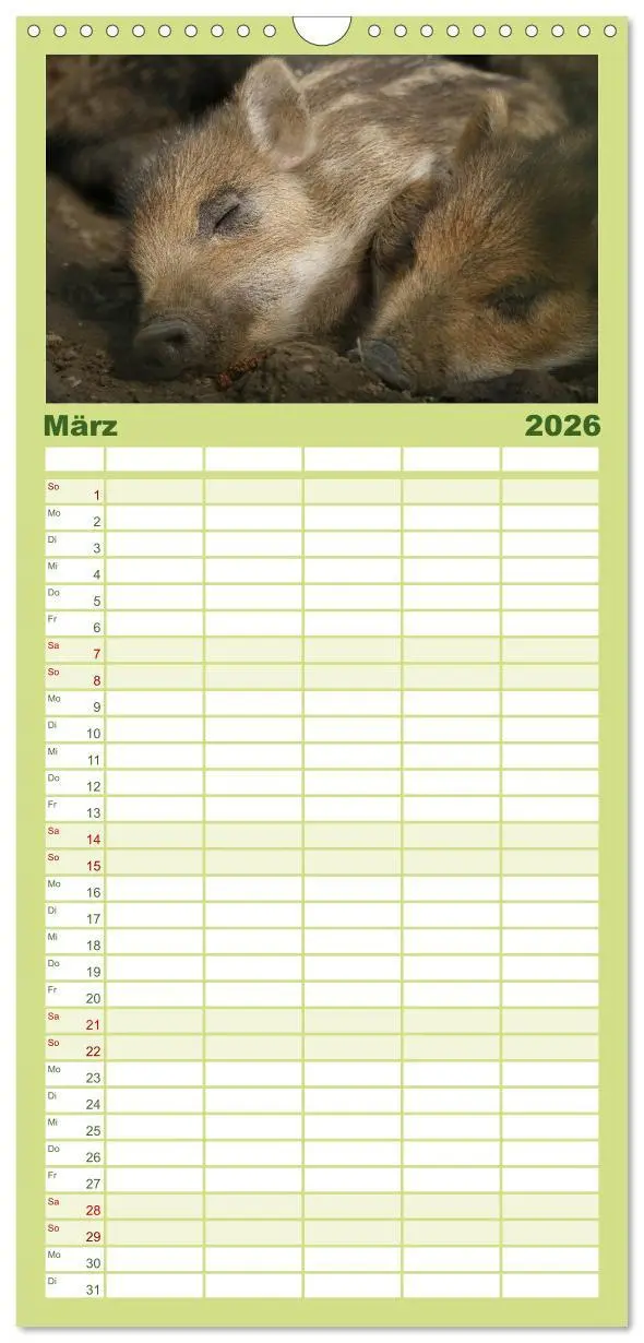 Bild: 9783516519969 | Familienplaner 2026 - Schweinkram - Die Wildschweine sind los mit 5...