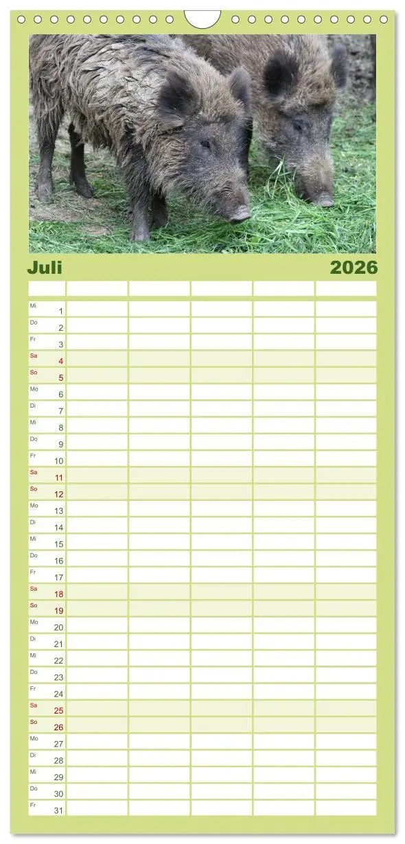 Bild: 9783516519969 | Familienplaner 2026 - Schweinkram - Die Wildschweine sind los mit 5...