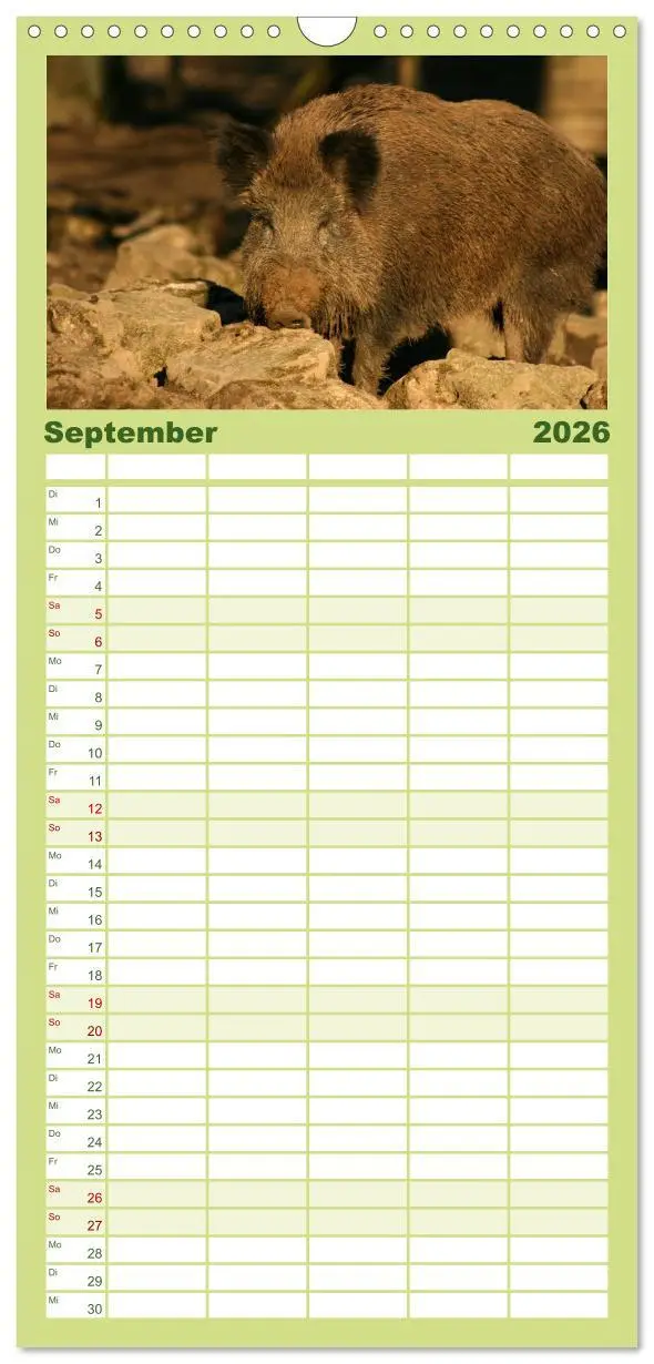 Bild: 9783516519969 | Familienplaner 2026 - Schweinkram - Die Wildschweine sind los mit 5...