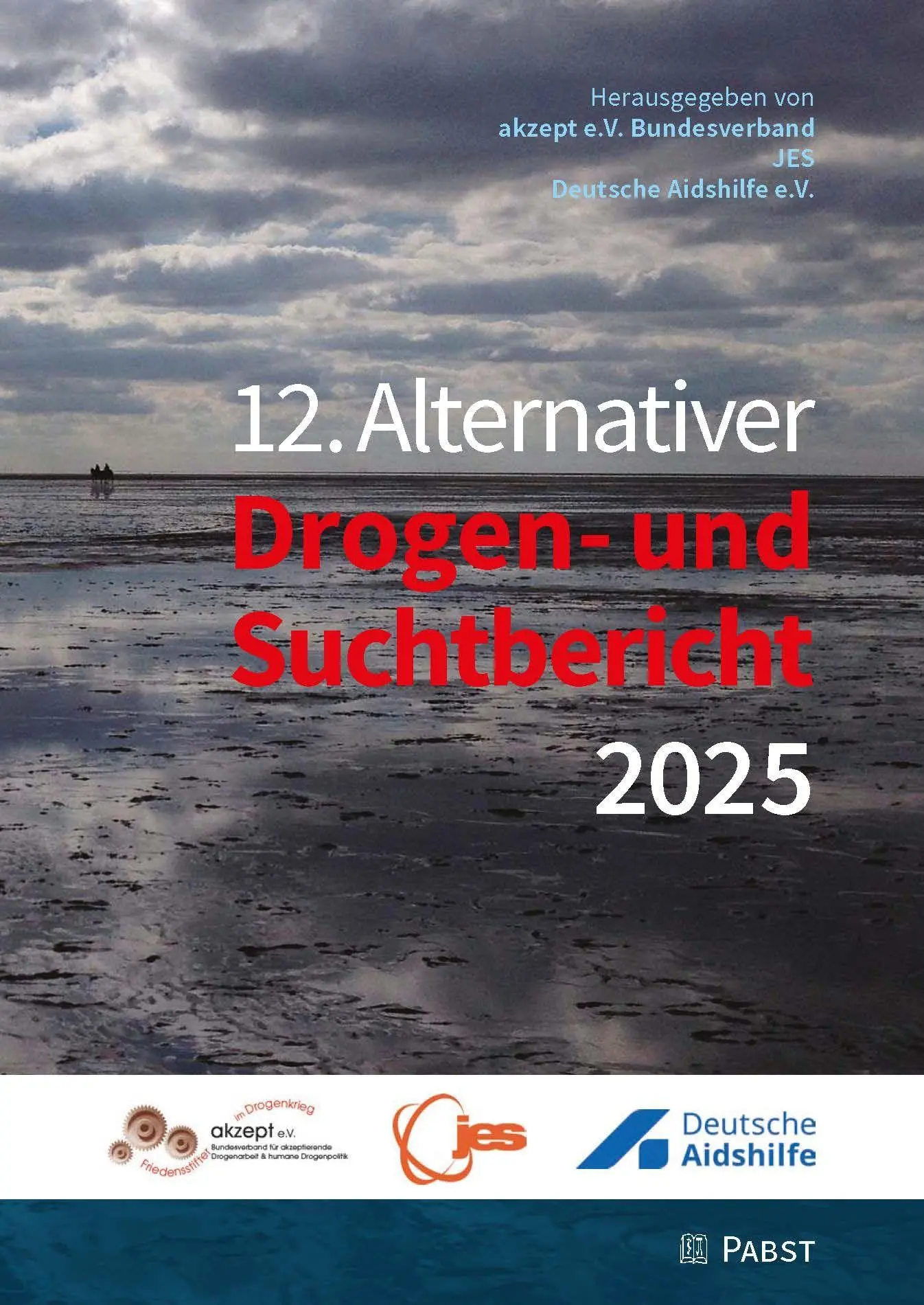 Cover: 9783958539969 | 12. Alternativer Drogen- und Suchtbericht 2025 | akzept e. V. (u. a.)