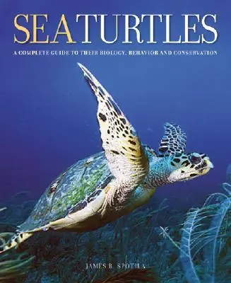 Cover: 9780801880070 | Sea Turtles | James R Spotila | Buch | Einband - fest (Hardcover)
