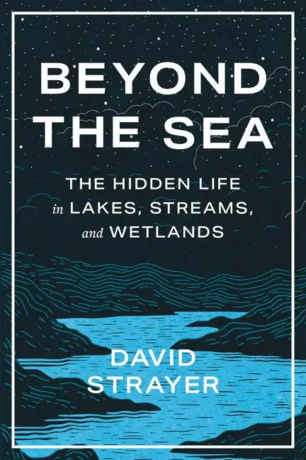 Cover: 9781421450070 | Beyond the Sea | The Hidden Life in Lakes, Streams, and Wetlands