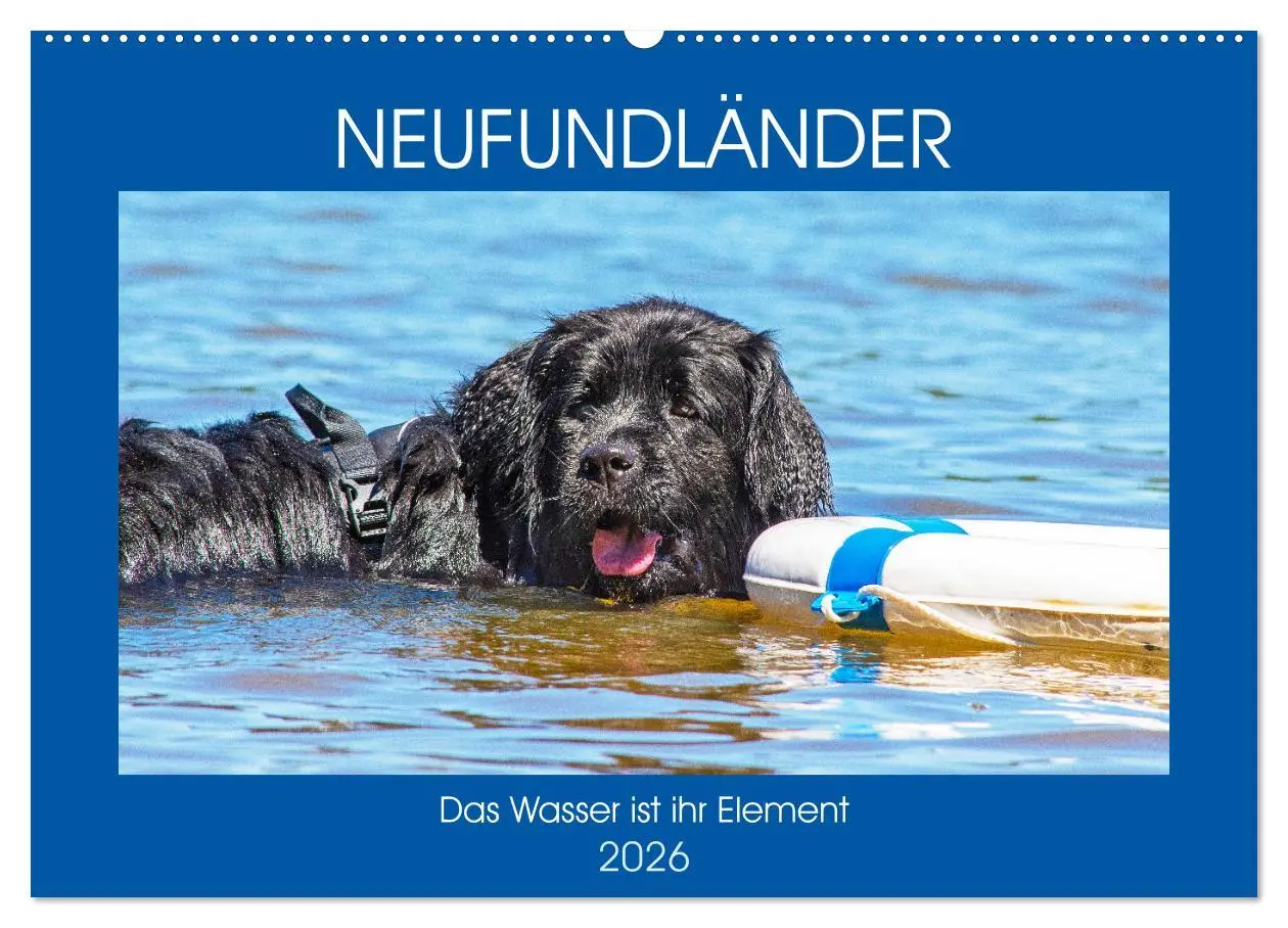 Cover: 9783457820070 | Neufundländer - Das Wasser ist ihr Element (Wandkalender 2026 DIN...