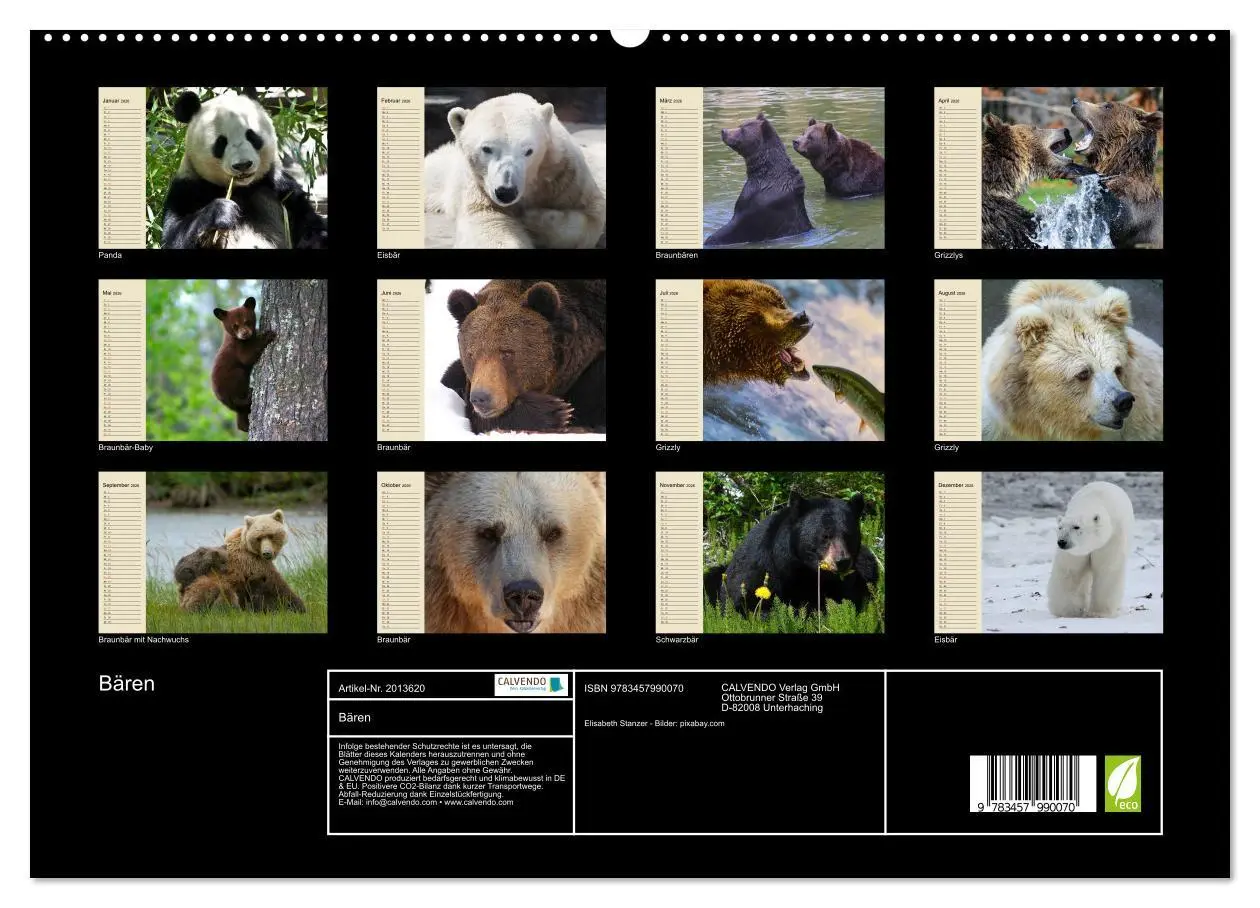 Bild: 9783457990070 | Bären (hochwertiger Premium Wandkalender 2026 DIN A2 quer),...
