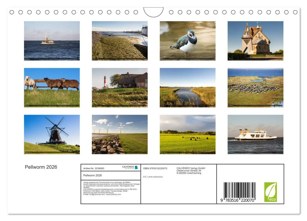 Bild: 9783516220070 | Pellworm 2026 (Wandkalender 2026 DIN A4 quer), CALVENDO Monatskalender