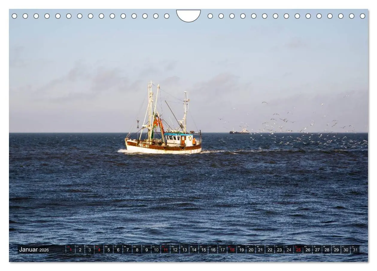 Bild: 9783516220070 | Pellworm 2026 (Wandkalender 2026 DIN A4 quer), CALVENDO Monatskalender
