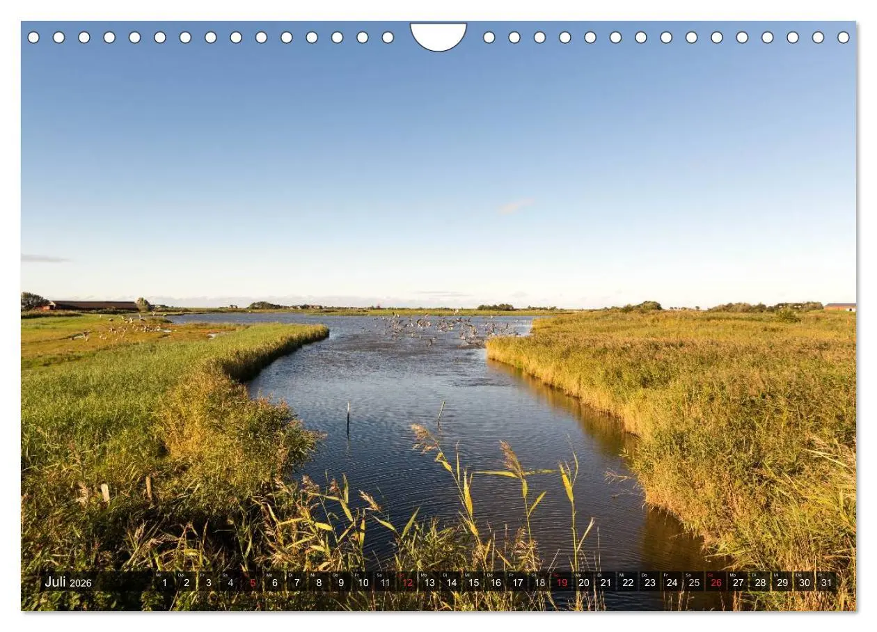 Bild: 9783516220070 | Pellworm 2026 (Wandkalender 2026 DIN A4 quer), CALVENDO Monatskalender