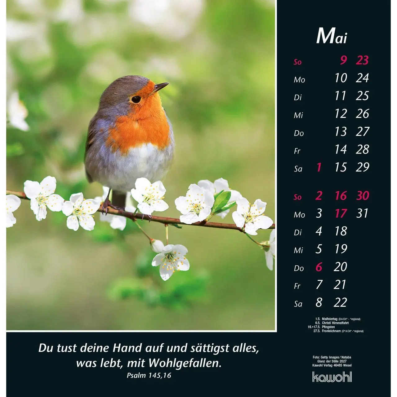 Bild: 9783754820070 | Glanz der Stille 2027 | Psalmworte und Farbfotos zur Besinnung | 14 S.
