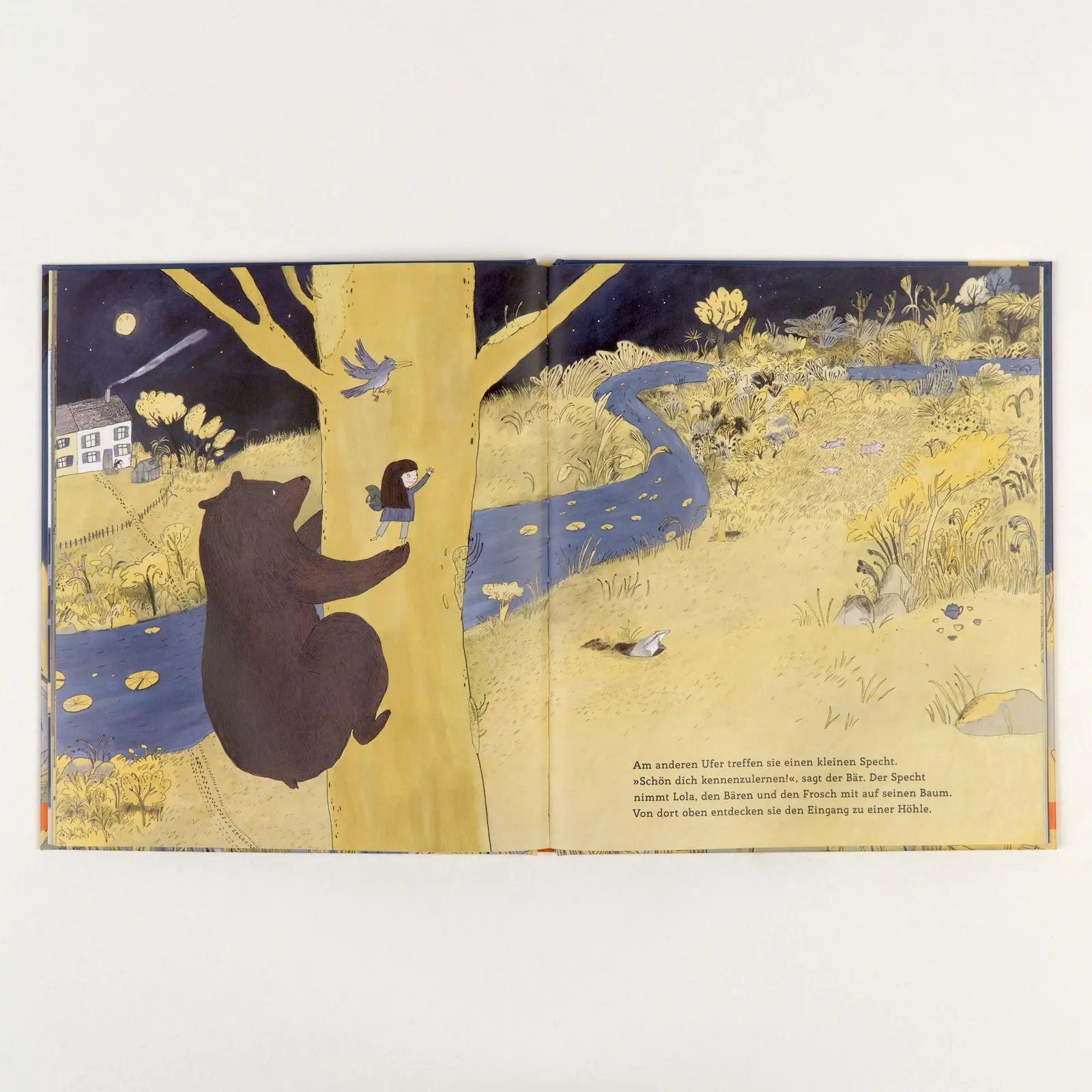 Bild: 9783407790170 | In einer Mondnacht | Nina Hultsch | Buch | 38 S. | Deutsch | 2026