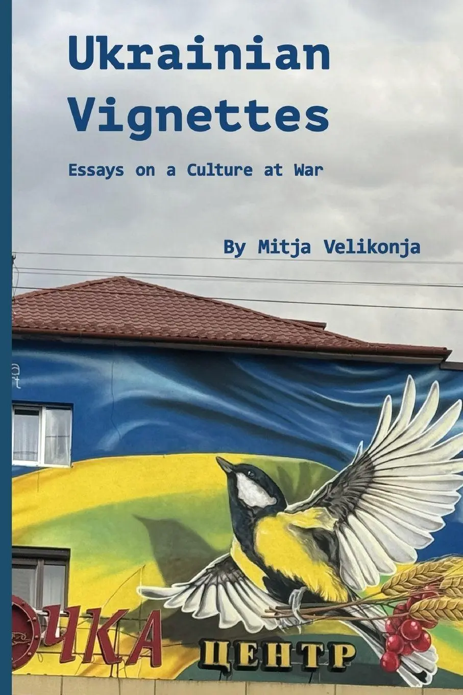 Cover: 9781954600270 | Ukrainian Vignettes | Essays on a Culture at War | Mitja Velikonja