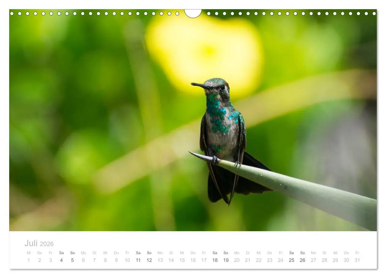 Bild: 9783457970270 | Trauminsel Curaçao (Wandkalender 2026 DIN A3 quer), CALVENDO...