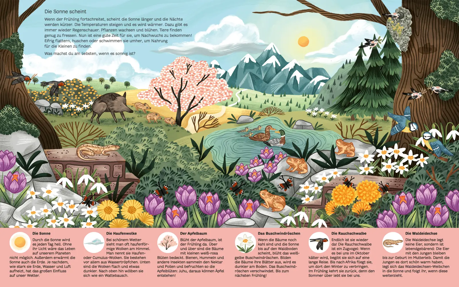 Rückseite: 9783734860270 | Erklär mir die Natur | Ein Sachbuch für Kinder ab 4 Jahren | Vorbach