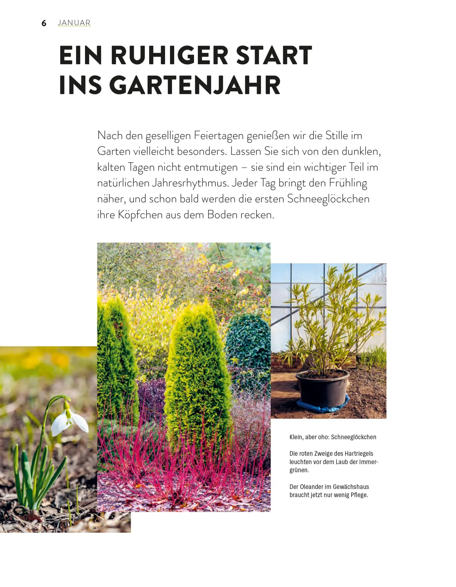 Bild: 9783747110270 | Das große Gartenjahr-Buch | Stiftung Warentest | Taschenbuch | 224 S.