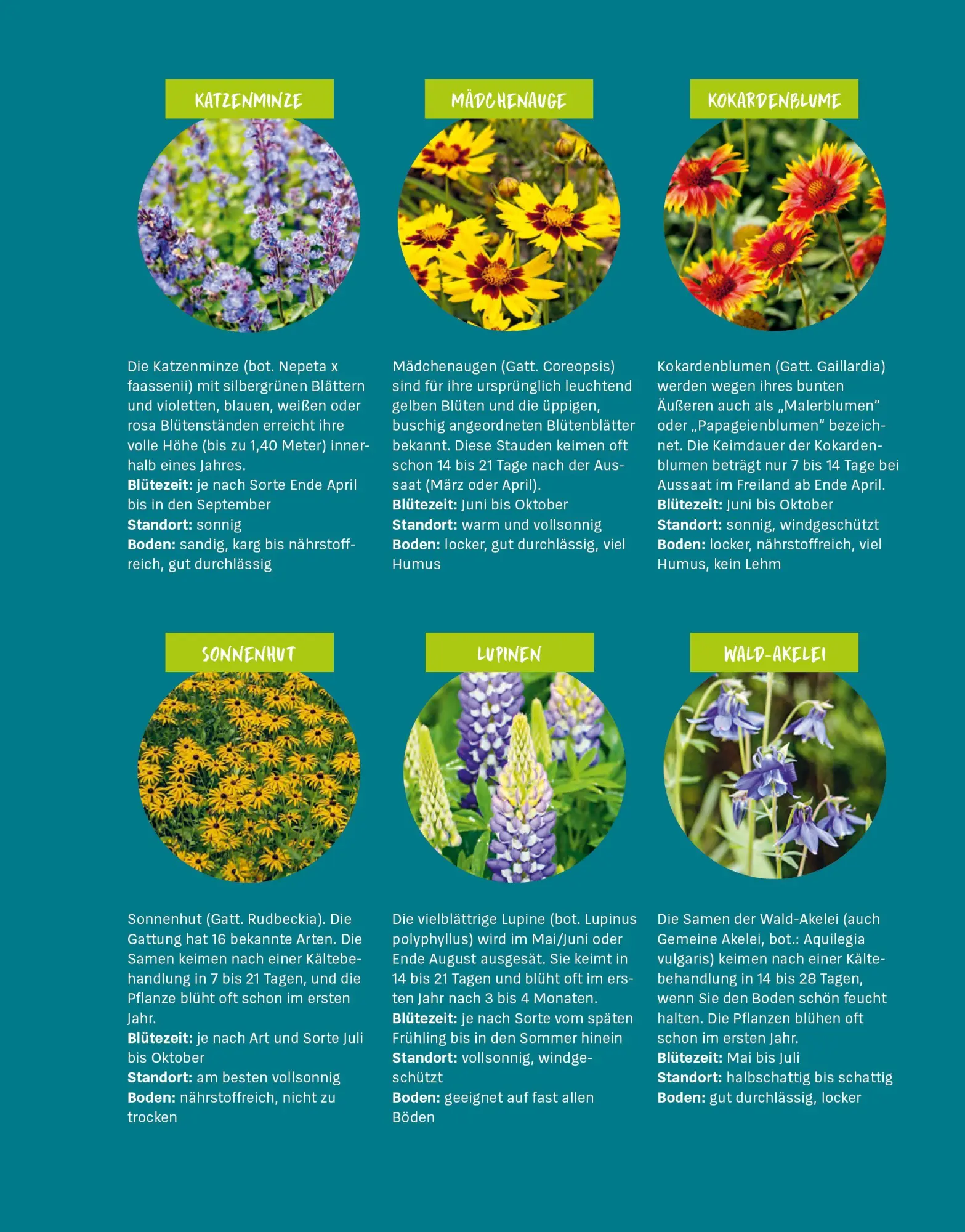 Bild: 9783747110270 | Das große Gartenjahr-Buch | Stiftung Warentest | Taschenbuch | 224 S.
