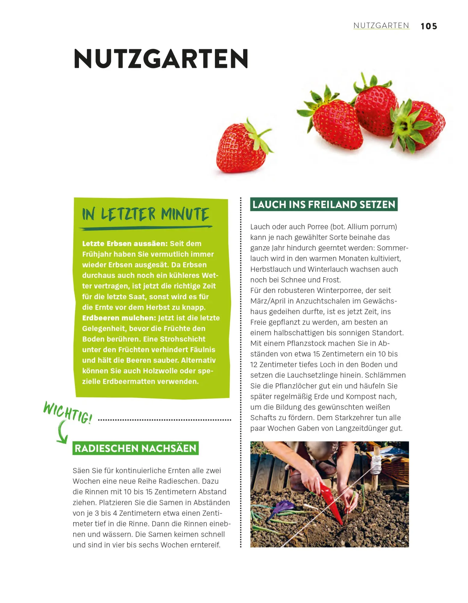 Bild: 9783747110270 | Das große Gartenjahr-Buch | Stiftung Warentest | Taschenbuch | 224 S.