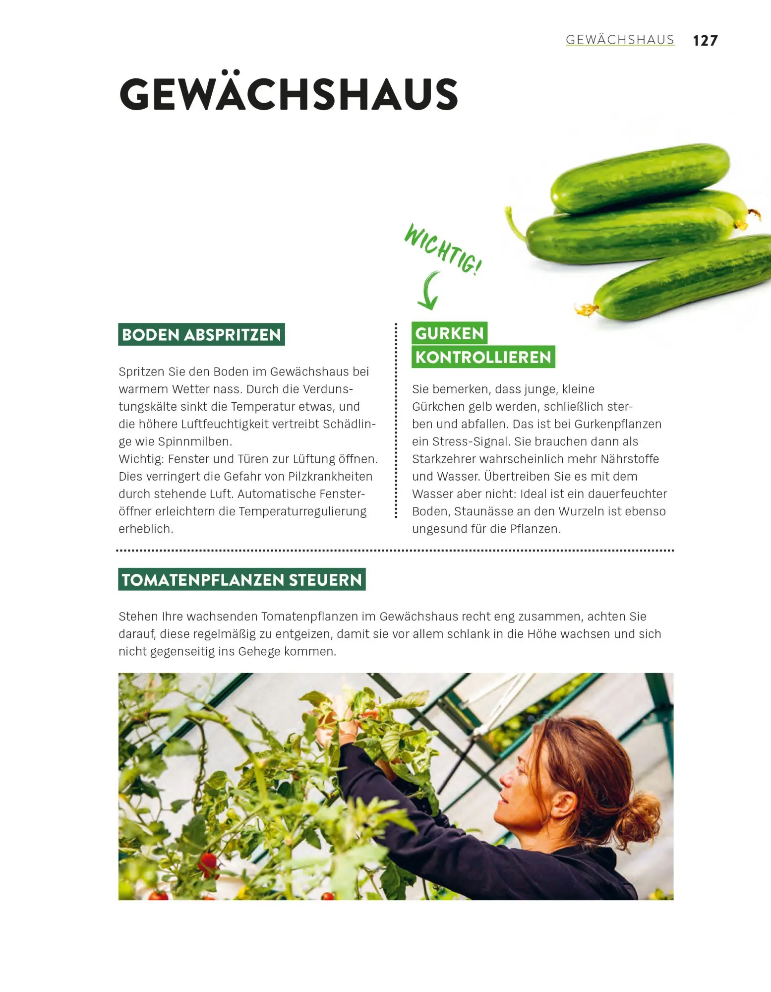 Bild: 9783747110270 | Das große Gartenjahr-Buch | Stiftung Warentest | Taschenbuch | 224 S.