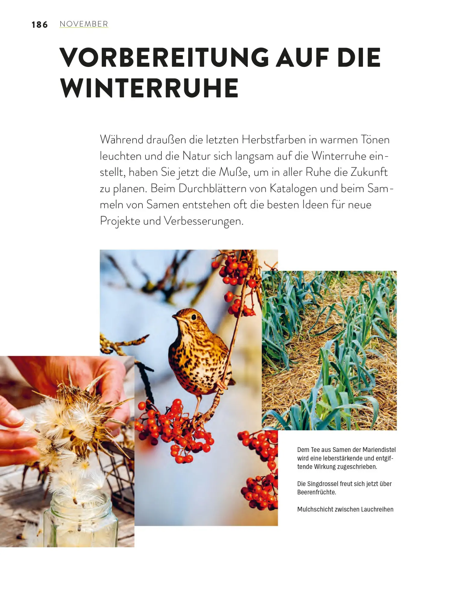 Bild: 9783747110270 | Das große Gartenjahr-Buch | Stiftung Warentest | Taschenbuch | 224 S.