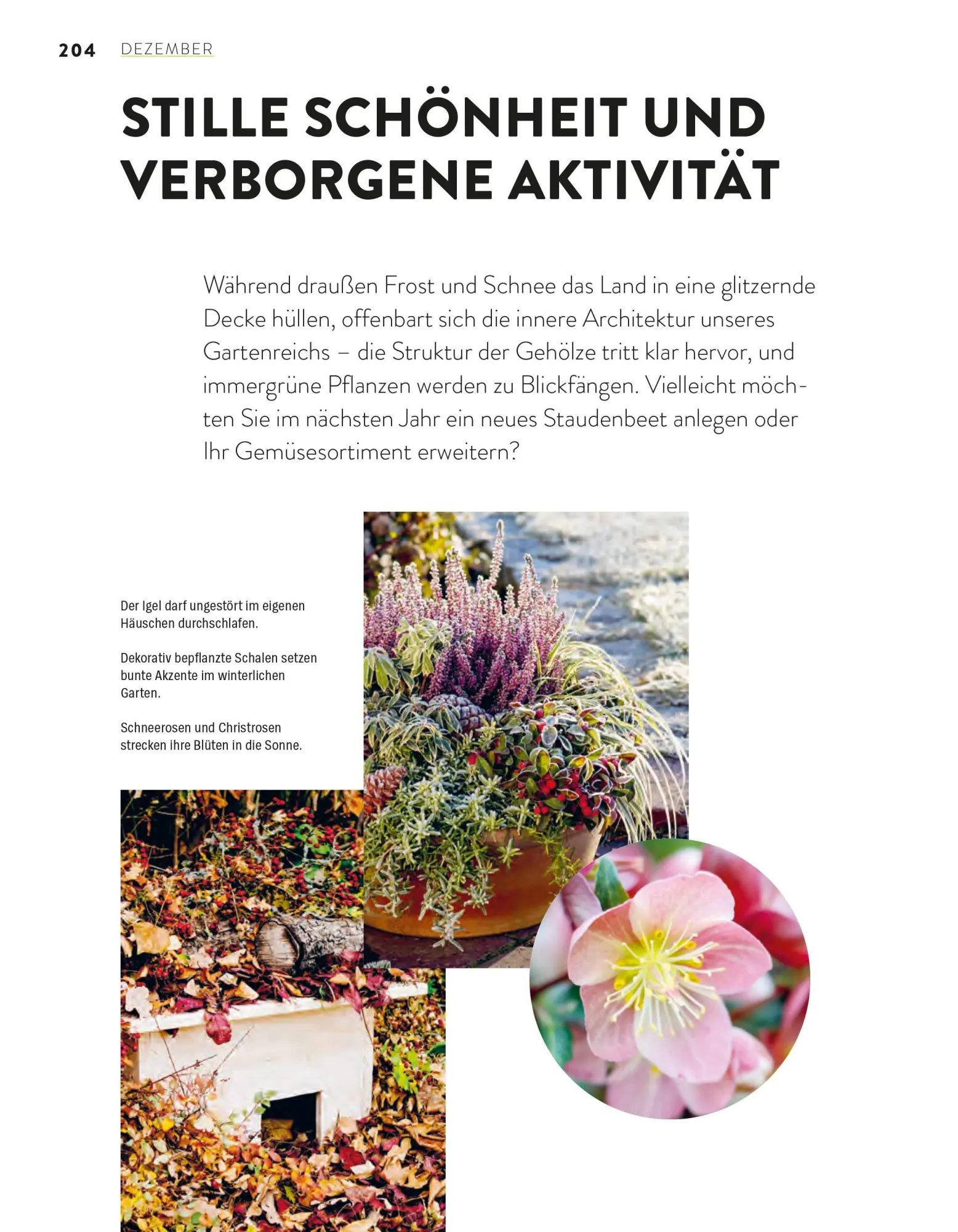 Bild: 9783747110270 | Das große Gartenjahr-Buch | Stiftung Warentest | Taschenbuch | 224 S.