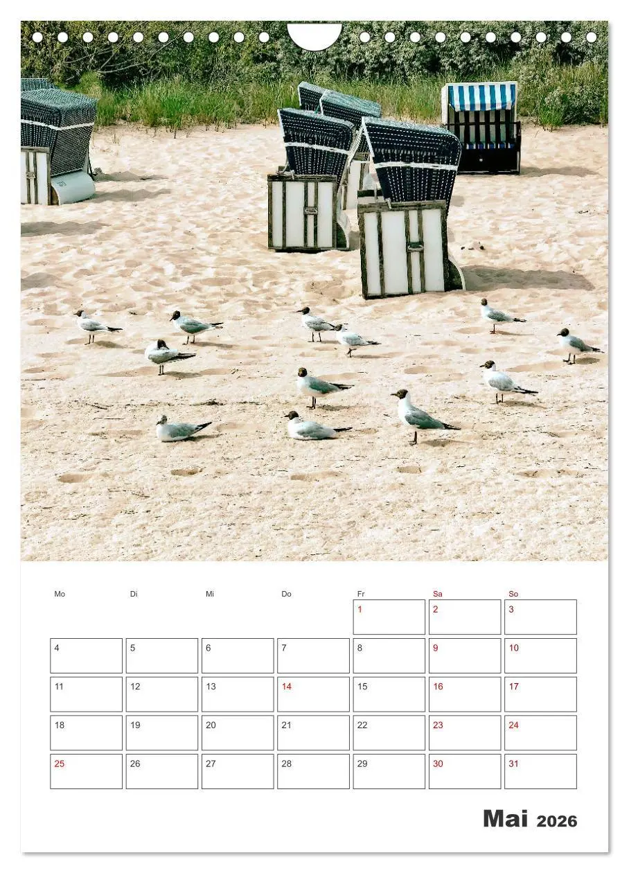 Bild: 9783516360370 | Usedom - Terminplaner (Wandkalender 2026 DIN A4 hoch), CALVENDO...