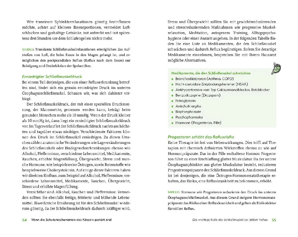 Bild: 9783968590370 | Das hilft beim stillen Reflux | Martin Storr (u. a.) | Taschenbuch