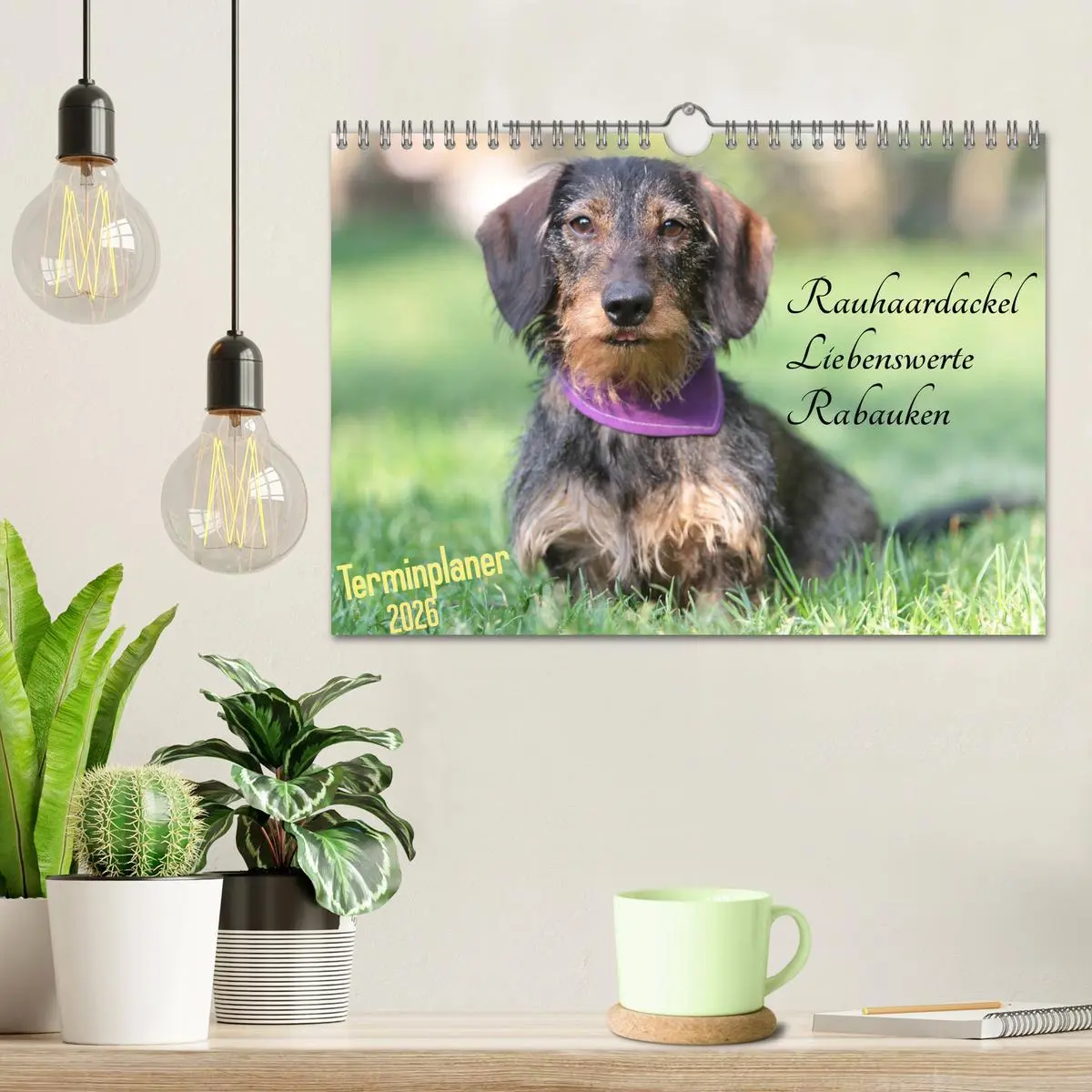 Bild: 9783457880470 | Familienplaner - Liebenswerte Rabauken - Rauhaardackel...