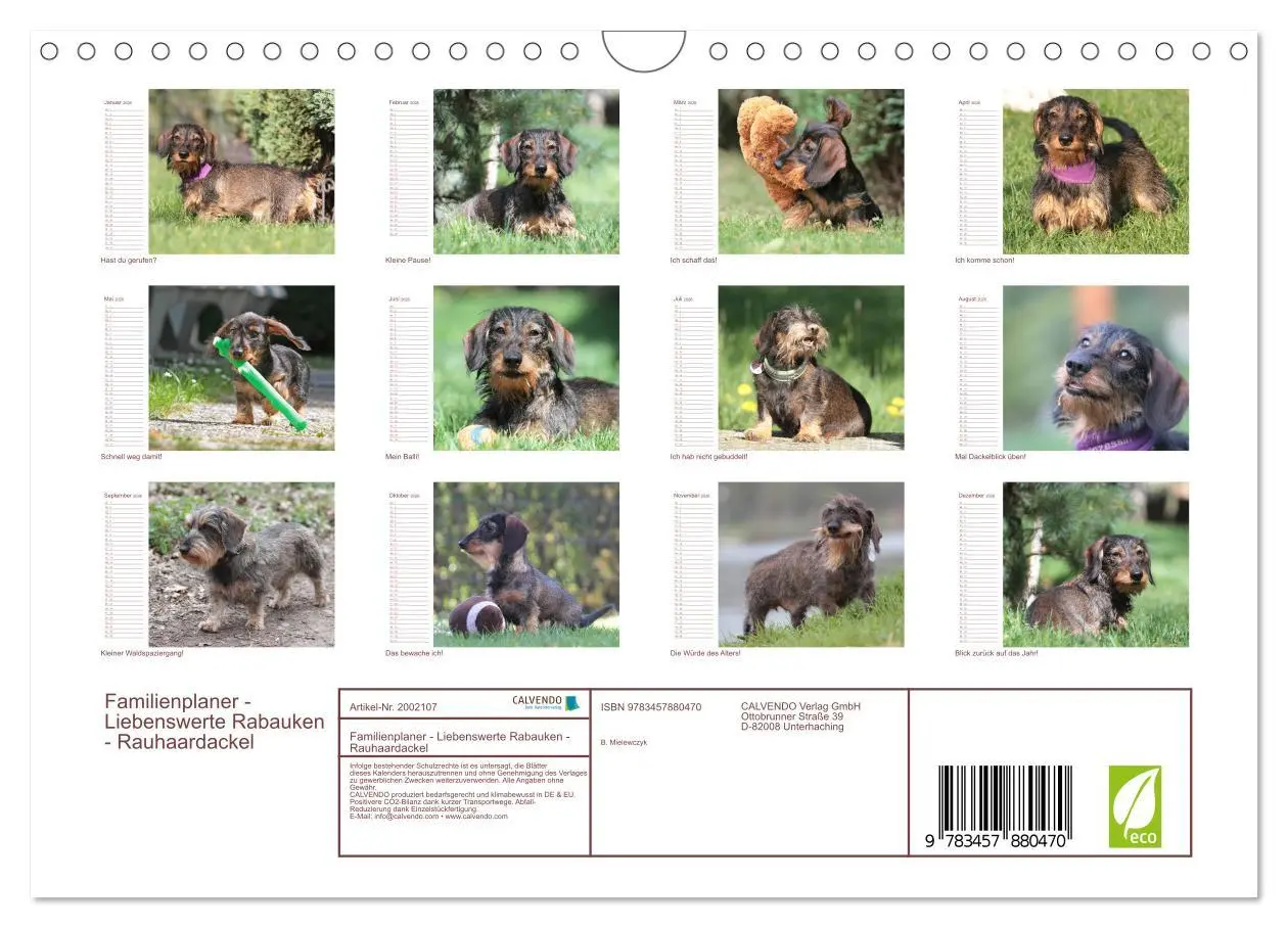 Bild: 9783457880470 | Familienplaner - Liebenswerte Rabauken - Rauhaardackel...