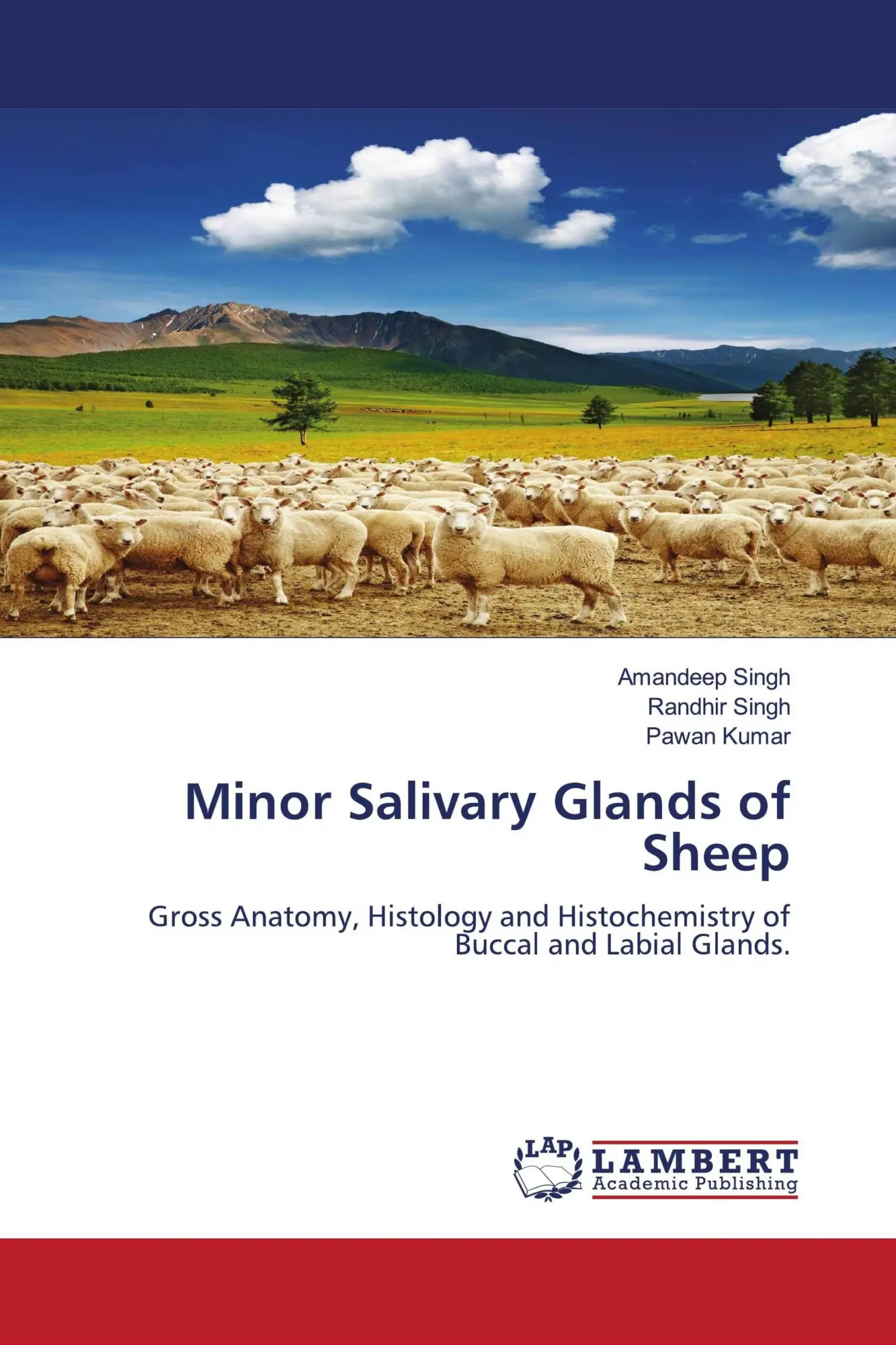 Cover: 9783659150470 | Minor Salivary Glands of Sheep | Amandeep Singh (u. a.) | Taschenbuch
