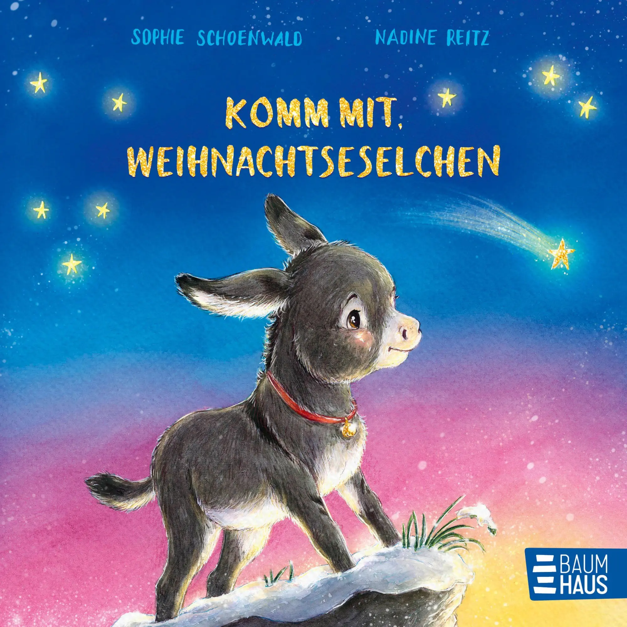 Cover: 9783833910470 | Komm mit, Weihnachtseselchen | Sophie Schoenwald | Buch | 26 S. | 2025