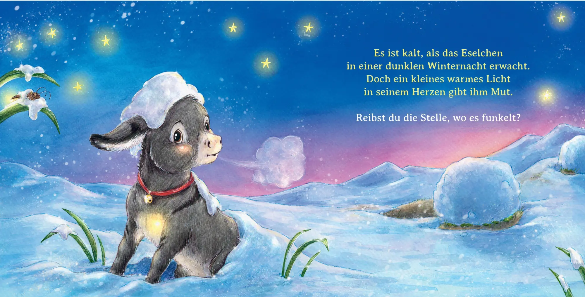 Bild: 9783833910470 | Komm mit, Weihnachtseselchen | Sophie Schoenwald | Buch | 26 S. | 2025