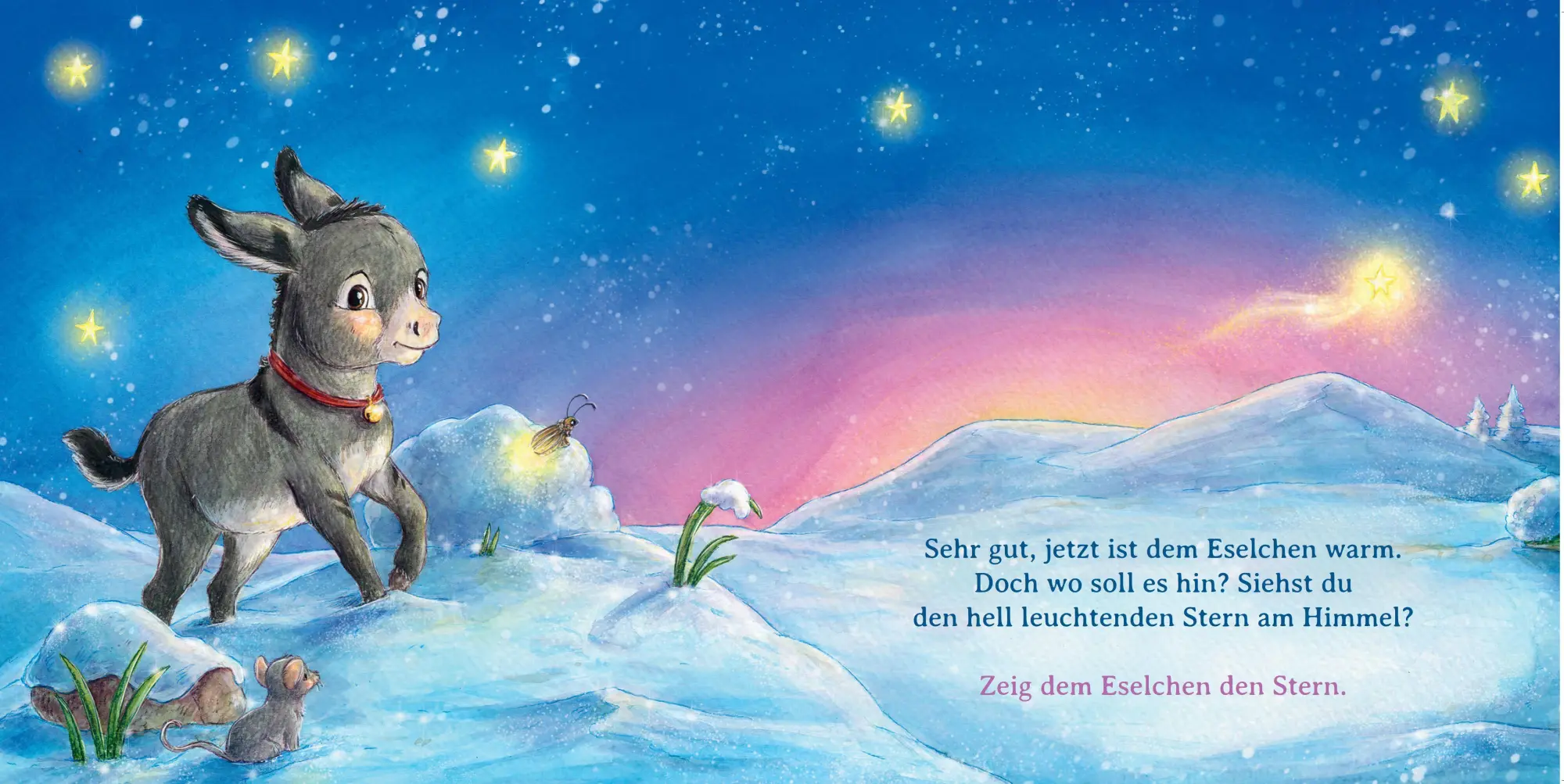 Bild: 9783833910470 | Komm mit, Weihnachtseselchen | Sophie Schoenwald | Buch | 26 S. | 2025