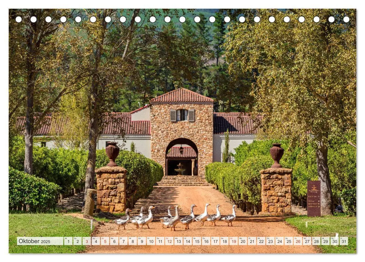 Bild: 9783435230570 | Weingüter Südafrikas, Weinarchitektur zwischen Tradition und...