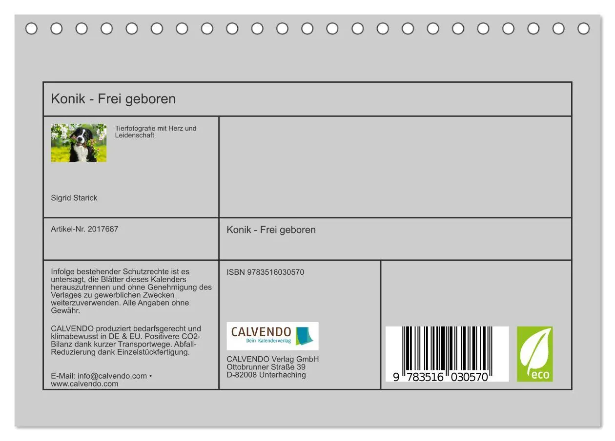 Bild: 9783516030570 | Konik - Frei geboren (Tischkalender 2026 DIN A5 quer), CALVENDO...