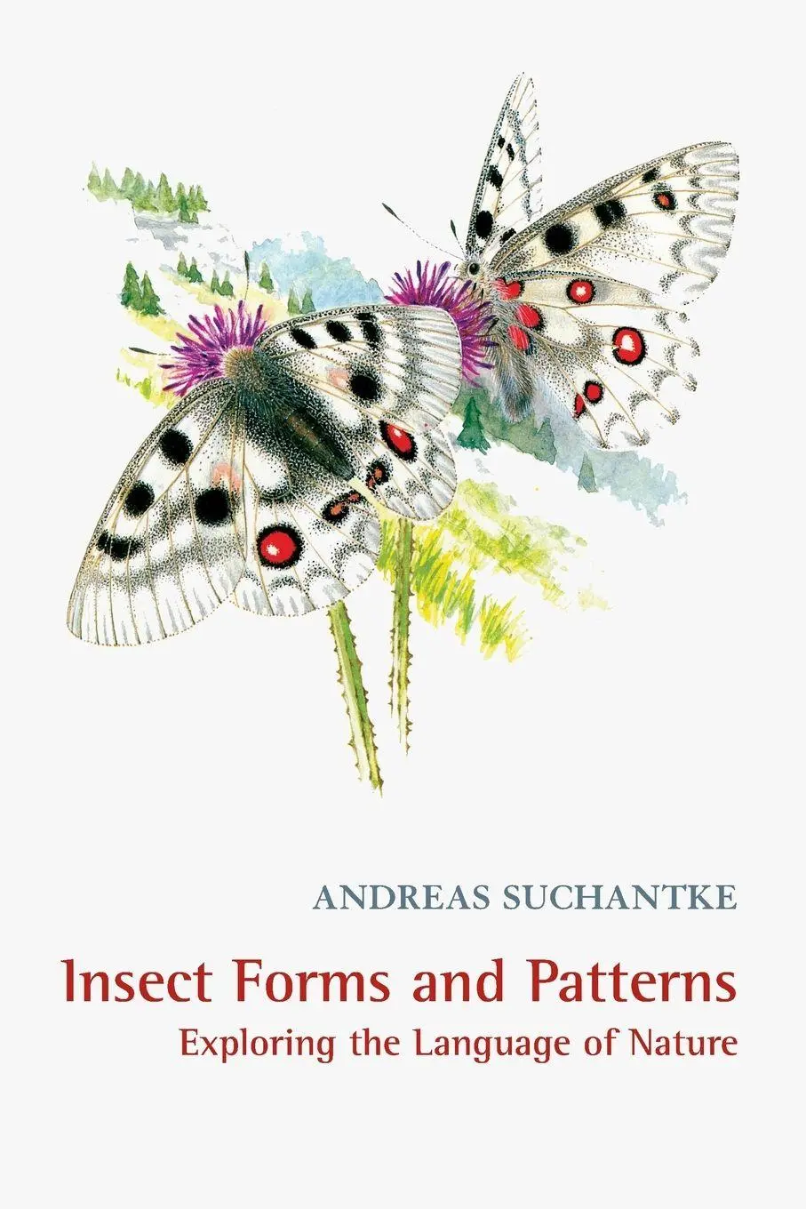 Cover: 9780974490670 | Insect Forms and Patterns Exploring the Language of Nature | Suchantke
