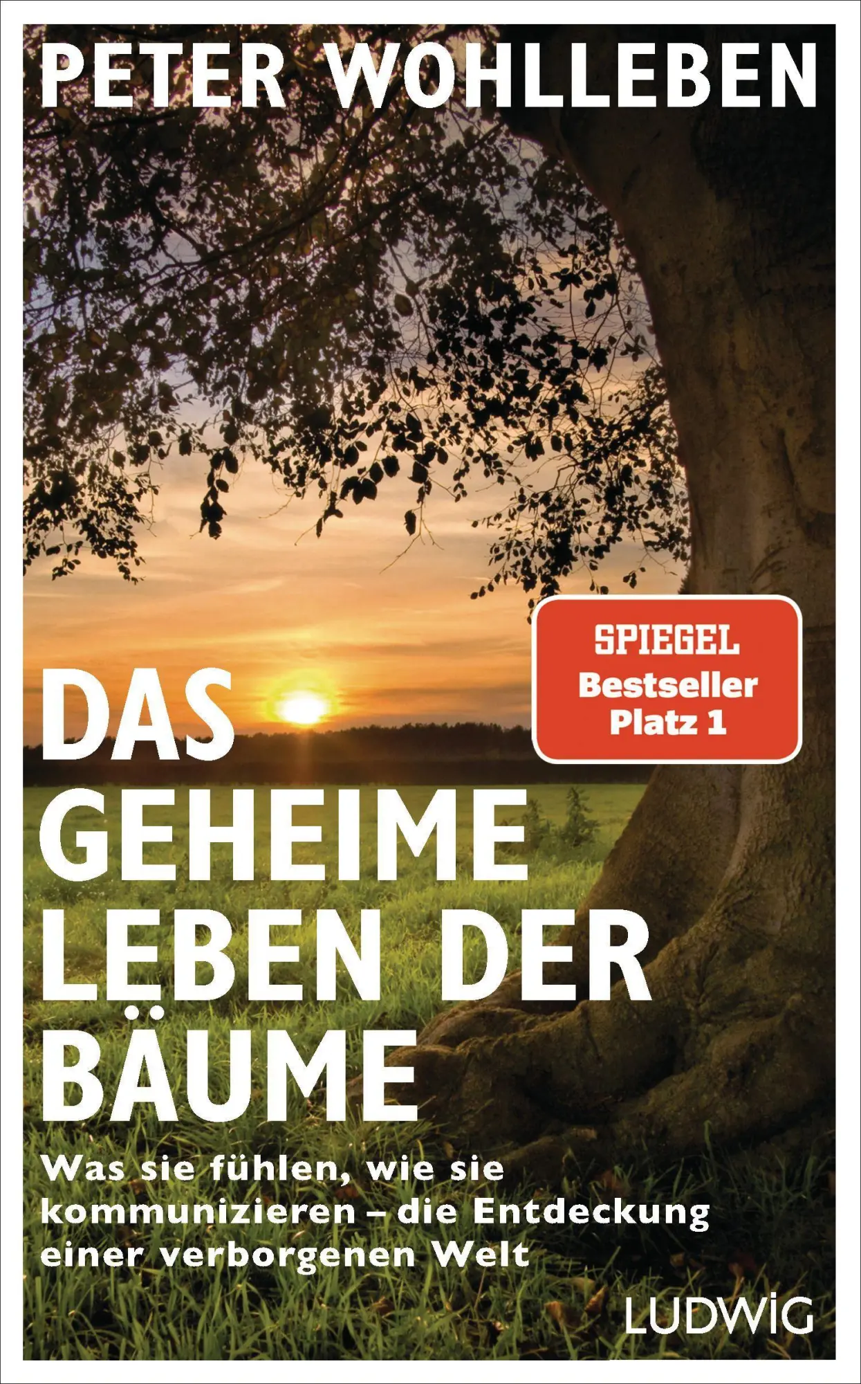 Cover: 9783453280670 | Das geheime Leben der Bäume | Peter Wohlleben | Buch | 224 S. | 2015