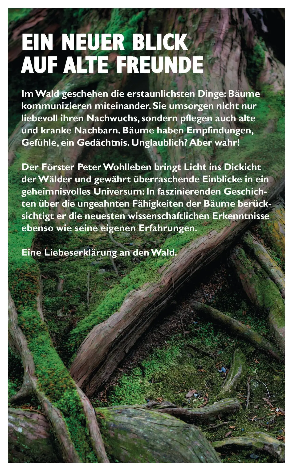 Rückseite: 9783453280670 | Das geheime Leben der Bäume | Peter Wohlleben | Buch | 224 S. | 2015