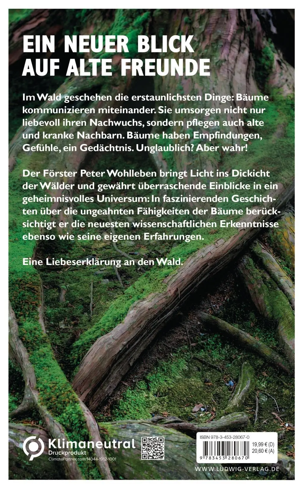 Bild: 9783453280670 | Das geheime Leben der Bäume | Peter Wohlleben | Buch | 224 S. | 2015